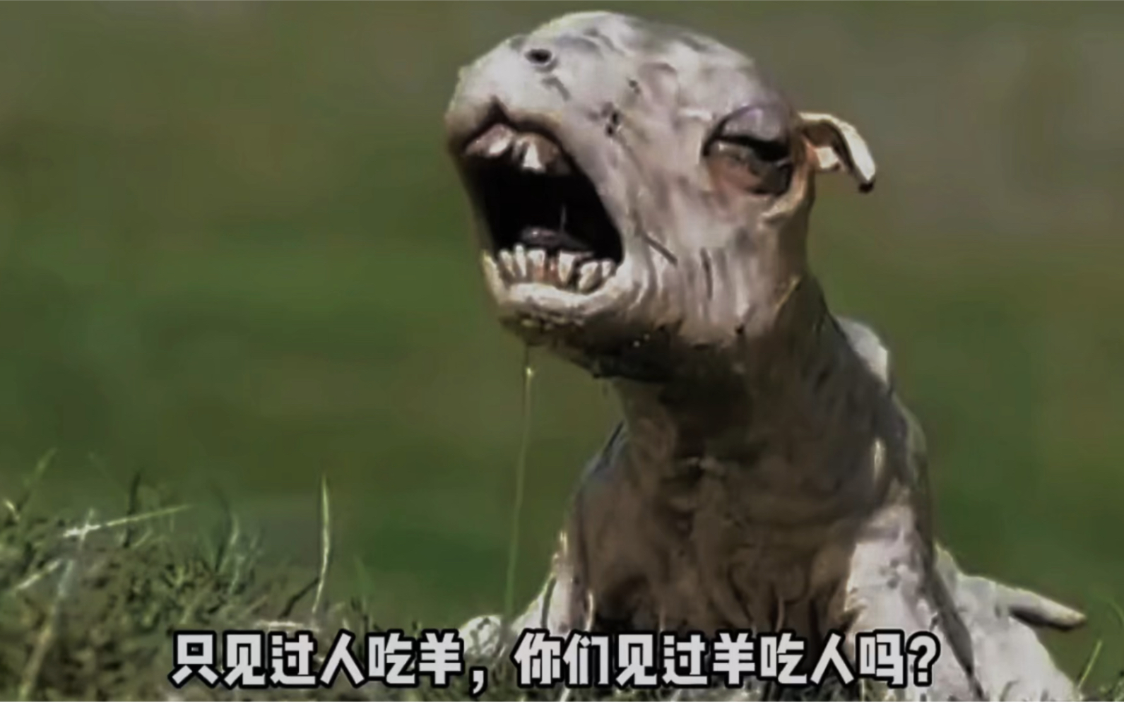 高分恐怖片,见过人吃羊,那你见过羊吃人吗?_哔哩哔哩_bilibili