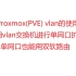 Proxmox(PVE) vlan的使用 利用vlan交换机进行单网口扩充 单网口也能用双软路由