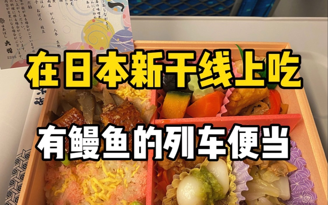 在日本新干线上试吃列车便当！1500日元的列车便当竟然还有鳗鱼？！究竟好不好吃？