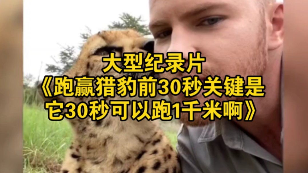 大型纪录片《跑赢猎豹前30秒关键是它30秒可以跑1千米啊》