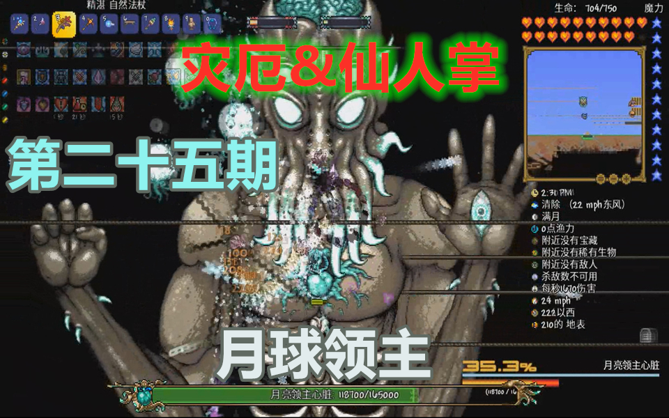 灾厄仙人掌泰拉瑞亚p25月球领主
