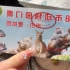 衡阳动物园vlog