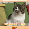 一位忙碌的小女孩撤回一颗凌乱的心 #小学生 #搞笑 #内容过于真实