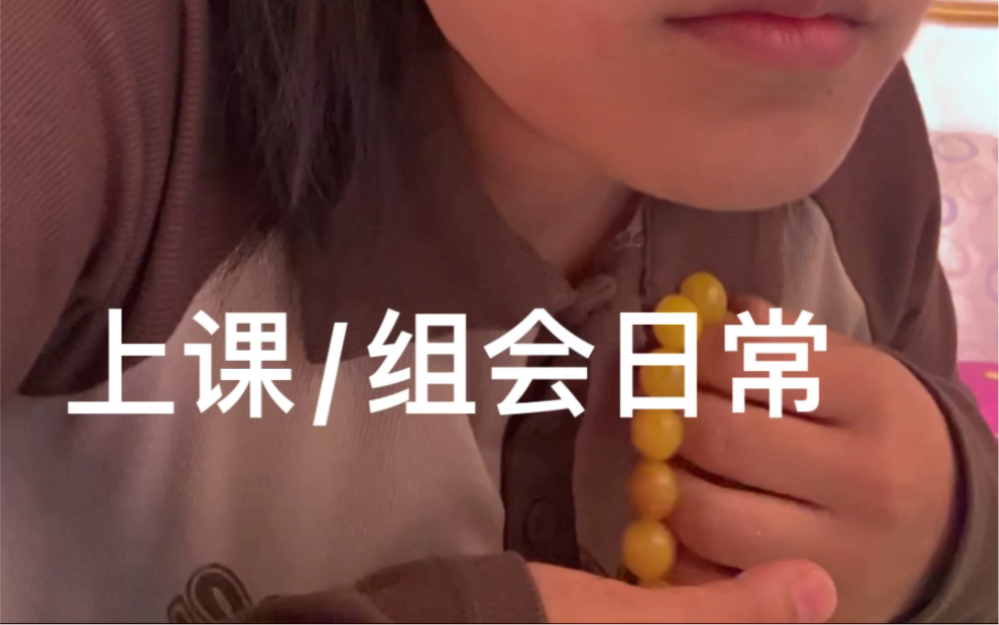 博士上课/组会日常（上合组织法律制度发展问题）