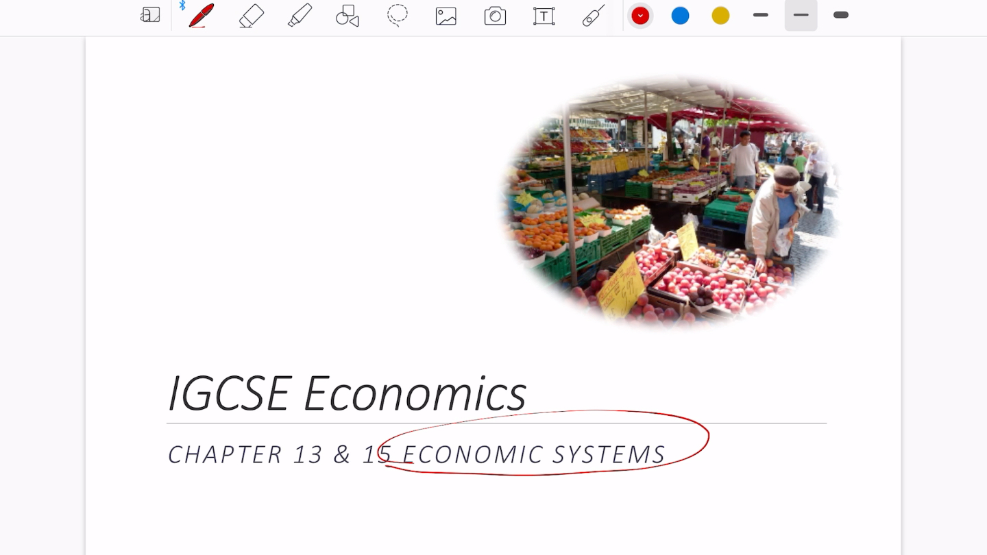 IGCSE Economics S2 chapter 13 economic system_哔哩哔哩_bilibili
