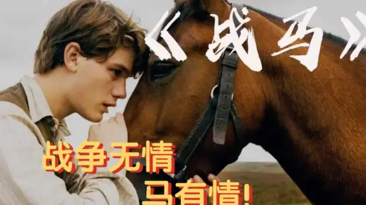 《战马》:史上最催泪战争片,主角不是人,却用人性征服了战争的高分电影!