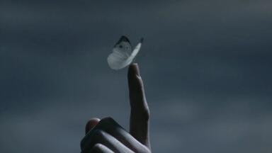 【<em class="keyword">告白</em>】