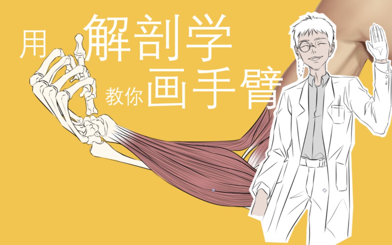从解剖学的角度教你画手臂？！【骨骼篇】