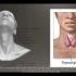 甲状腺超声基础Basics of Thyroid Ultrasound（有字幕）