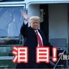 【4K】疫情前夕白宫内部实拍|拍摄于
