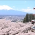 【日本】日本登400级山梯才能赏的绝美樱花 竟然国外比国内还有名？【@日料不是日本料理】