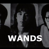 【WANDS】LIVE合集