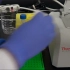 测定DNA浓度（Nanodrop）