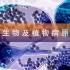 【中国农业大学】微生物及植物病原学 周涛 张力群 张燕（62讲）