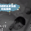 妈妈如果看到了直接气死。爸爸睡懵逼了，直接拍枕头当做儿子哄。最后还把儿子当成枕头睡着。孩子太遭罪