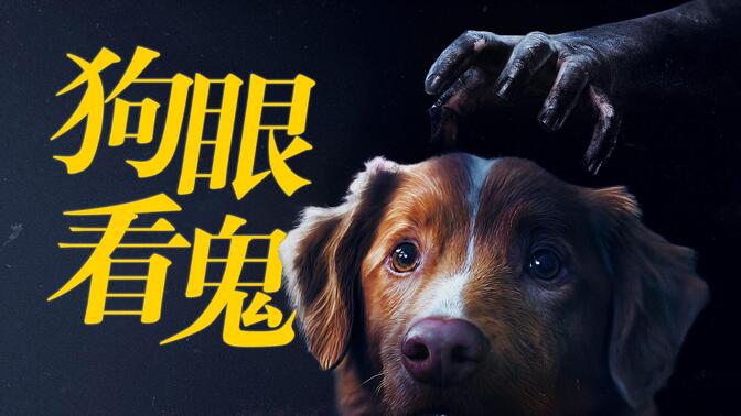 【影Sir】主人身后有鬼!以狗的視角打開恐怖片,高口碑《好狗狗》鏟屎官強推電影