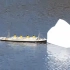 RC泰坦尼克号遇上RC“冰山”