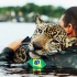 十大最鼓舞人心的动物救援，其中还有豹子！
