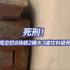 长春高空抛物致死案周某今日已被执行死刑