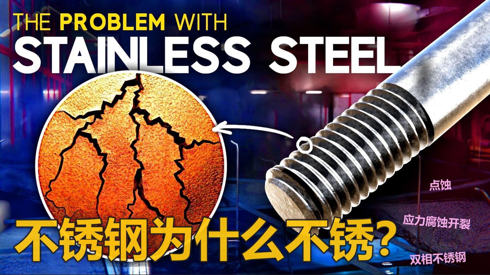 为什么泳池里的不锈钢会生锈？【金属材料 可视化】-The Problem系列视频