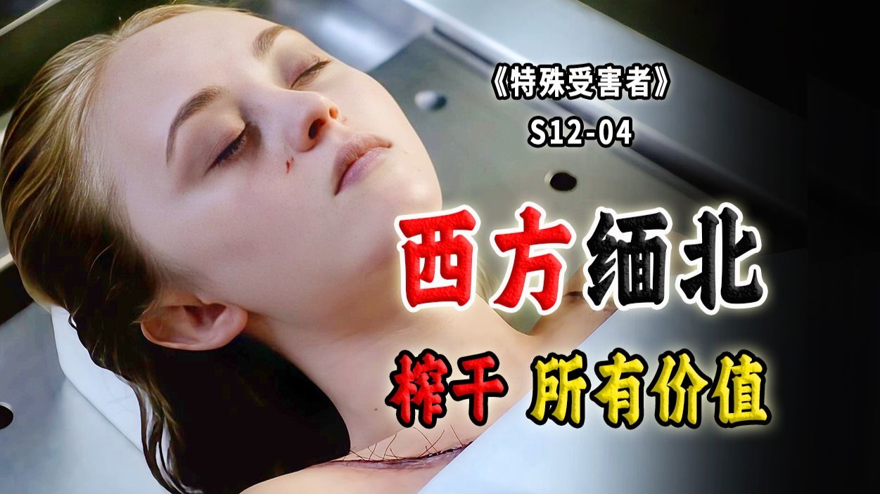 打个工差点回不来！贫困姐弟惨变奴隶，榨干最后一点价值《SVU》S12-04