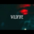 【MONSTA X】Wildfire MV