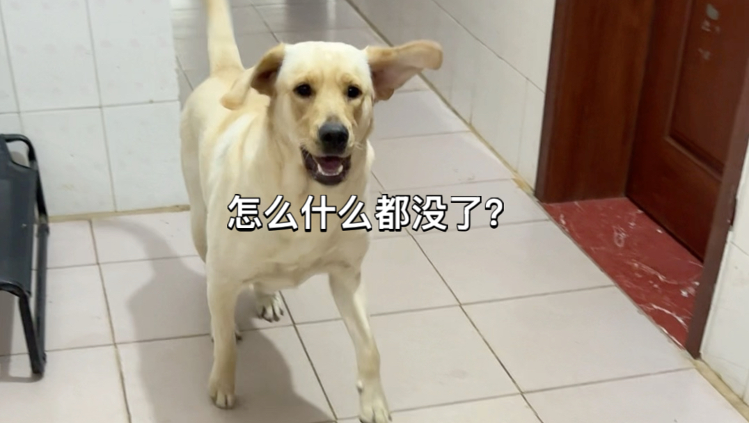 没有桌子没有npc没有按钮