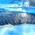 跌破-40­°C！内蒙古有“不冻河”流水潺潺！