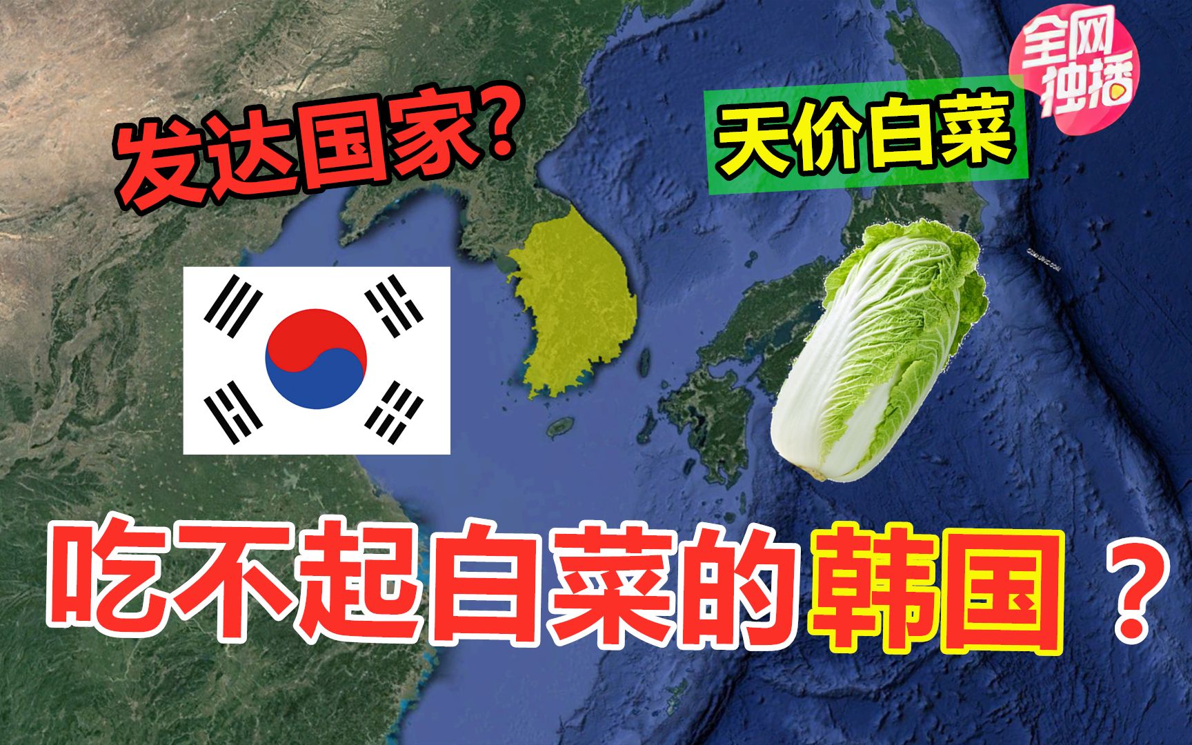 为何？你有什么看法：一颗白菜60元？身为亚洲发达国家的韩国，为何连白菜都吃不起？[首次进行]的第1张示图