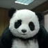 【祖 安 熊 猫】暴躁熊猫广告合集