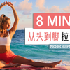 帕梅拉 - 8分钟从头到脚 每日拉伸｜告别僵硬酸痛 调动身体灵活性 (Pamela Reif Official