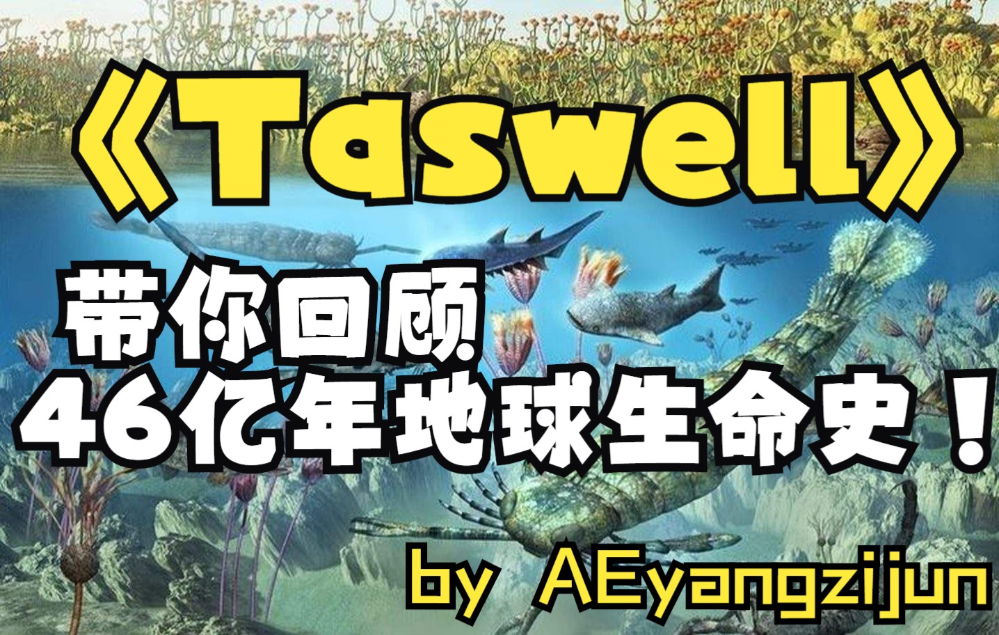 Taswell(byC418)-感受地球生命的魅力