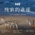 「纯真的歌谣」：《原神》稻妻篇OST2雾海纪行主题印象曲MV