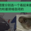 突然想让母亲选择pjsk每个团里看起来最阳角最阴角的角色分别跳萨姆沙和一千年