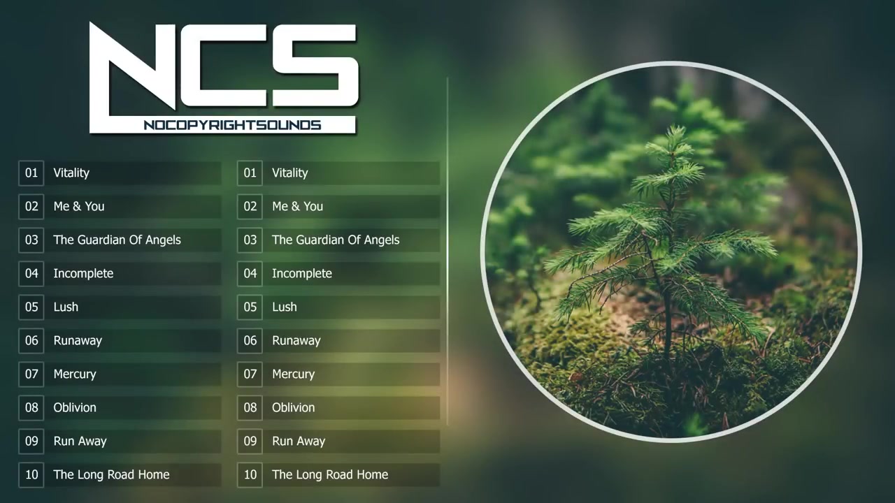 Top Ncs November Best Of Nocopyrightsounds Bilibili