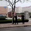 男子将男孩绑在树上还扒裤子，警方：二人系父子，接警后已处理