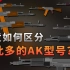 【不止游戏】究竟如何区分如此多的AK型号？