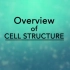 细胞结构概述 Overview of Cell Structure