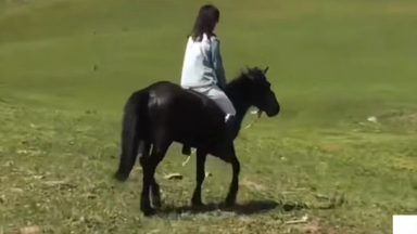 蓝天白云，<em class="keyword">策马</em>啸<em class="keyword">西风</em>