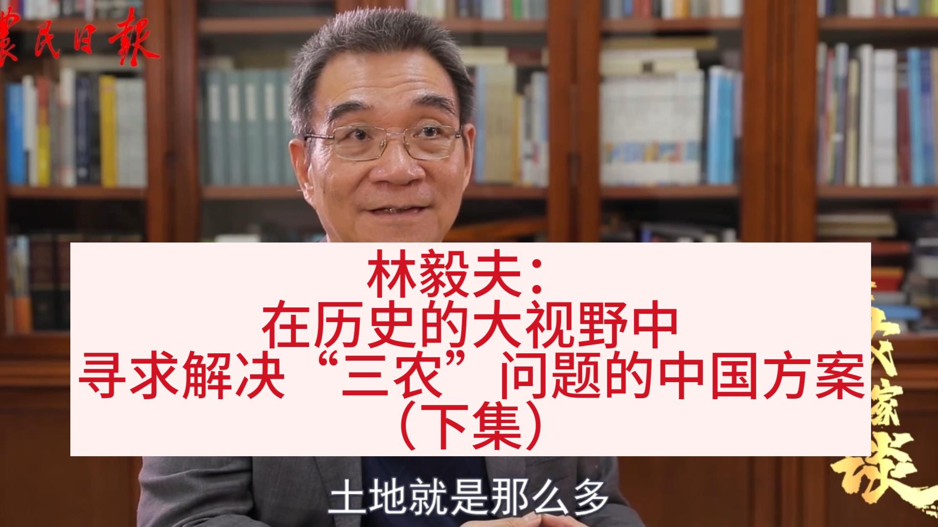 林毅夫：在历史的大视野中寻求解决“三农”问题的中国方案（下集）