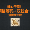 核心干货！顶格筹码双线合一与共振