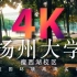 【4K画质】四年清晨和日暮>>扬州大学瘦西湖校区<<在这里度过