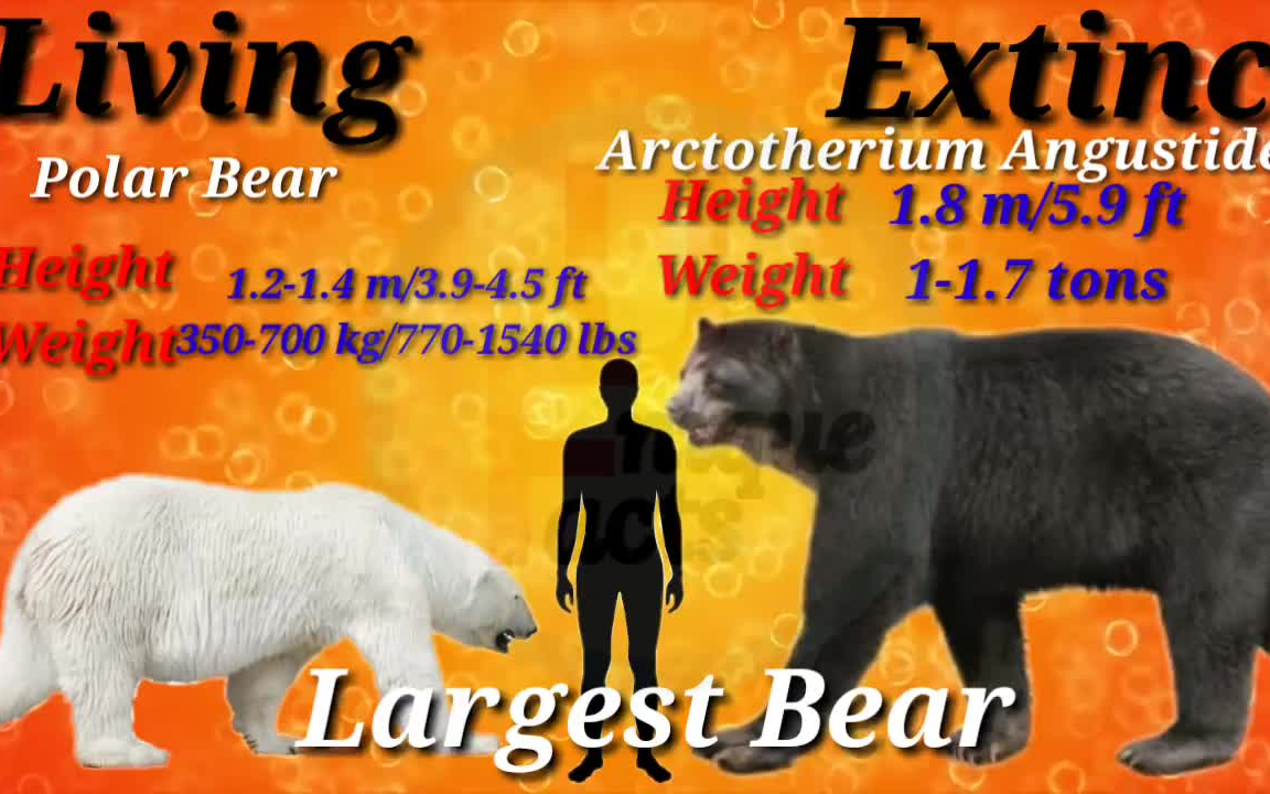 Top 20 Extinct Animals VS Living Animals _ Size Comparison-哔哩哔哩