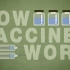 【TED双语】疫苗的工作原理-How do vaccines work？