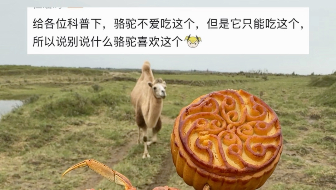 这么爱科普 信息源哪里来的？