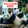 早自习的温馨时光，小五趴在妈妈背上，母子俩同时笑的好灿烂
