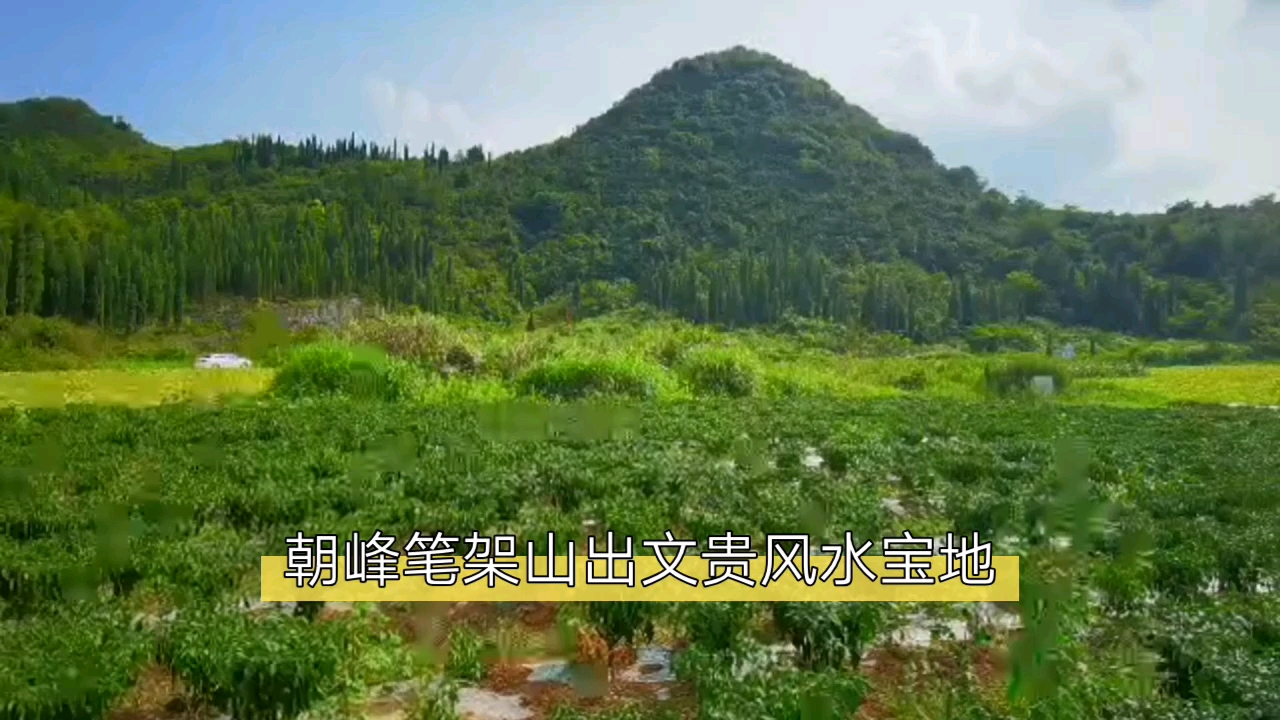 朱科顺金星龙虎起曜星向上三台笔架山出文贵风水宝地