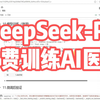 免费微调DeepSeek-R1-8B为专业的AI医生