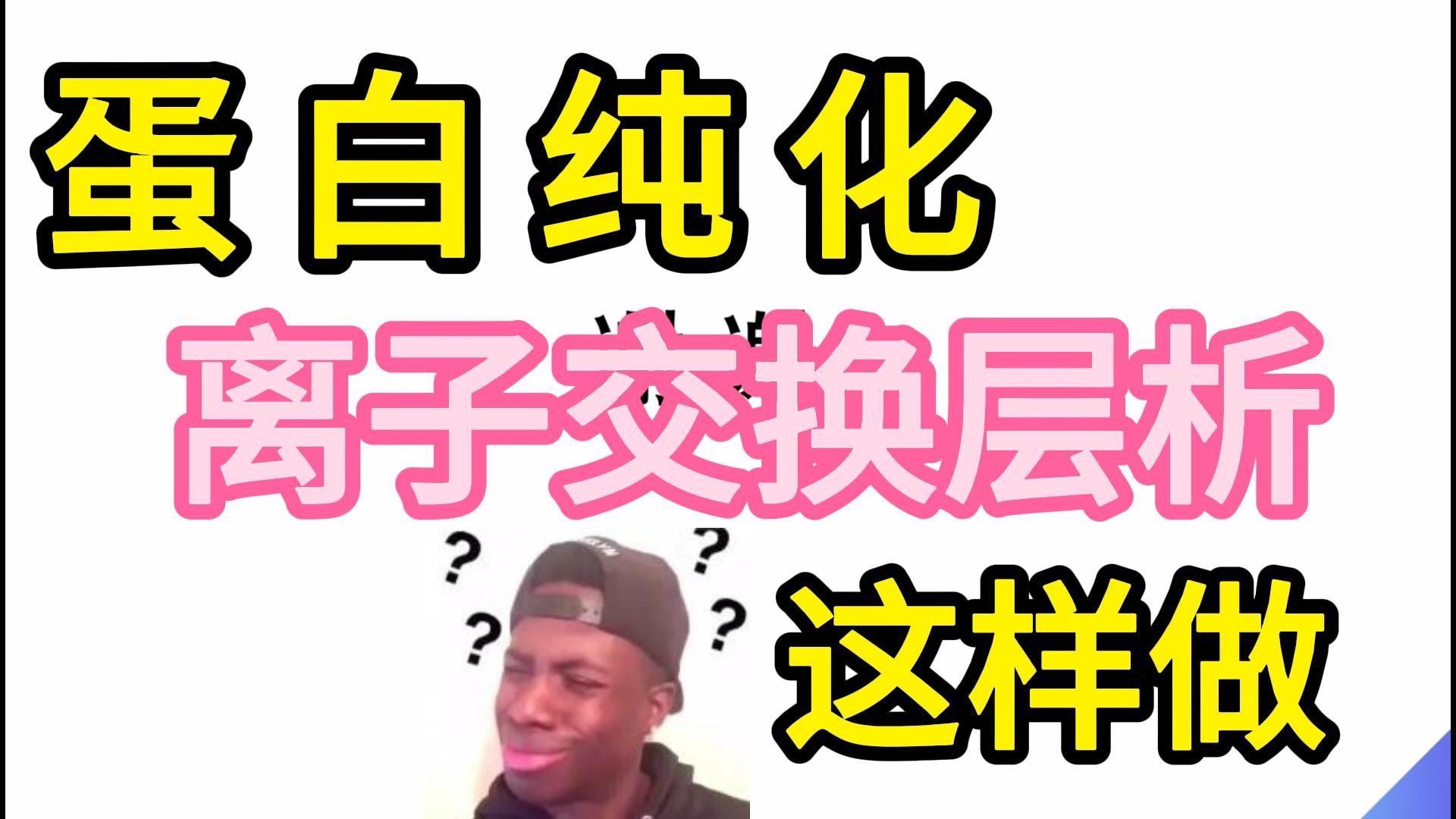 离子交换层析分离原理&实验流程