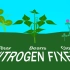 【Jimi Sol】20210129 了解我们的土壤：氮循环、固氮植物和化肥